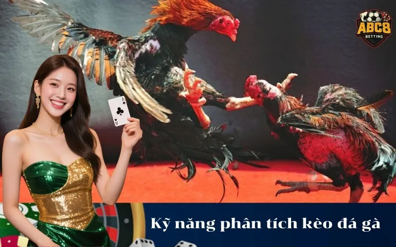 Kỹ năng phân tích kèo đá gà